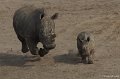 Safaripark Beekse Bergen 2